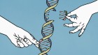 Why is it so hard to rewrite a genome?