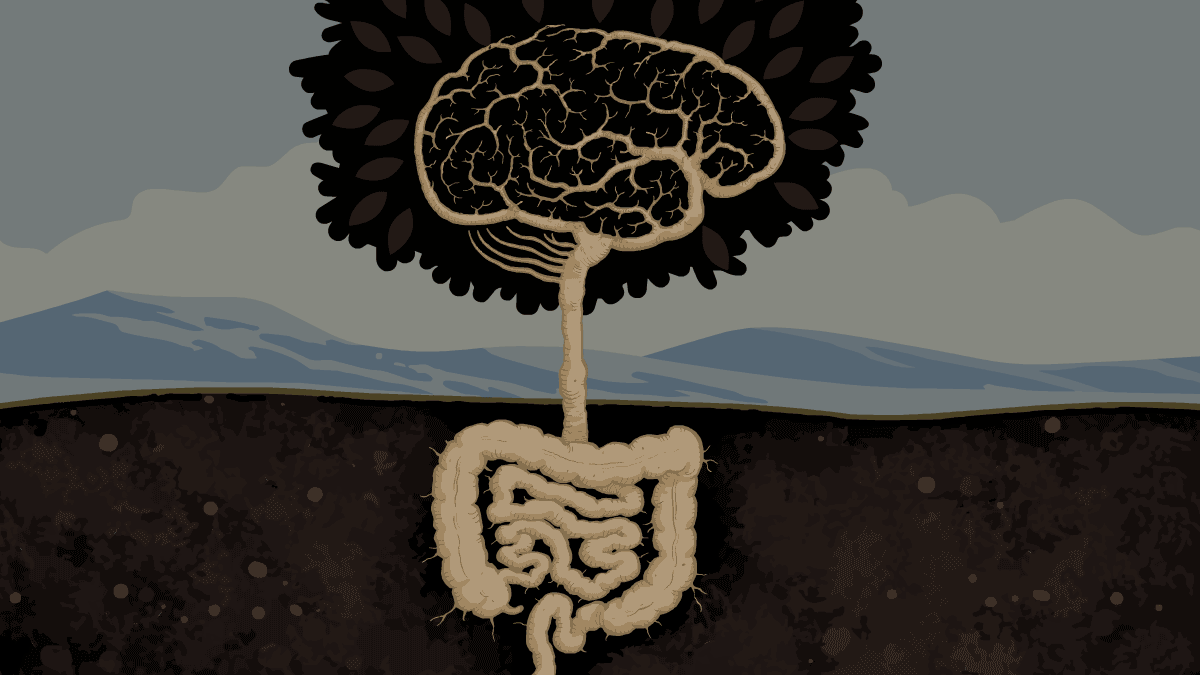 Parkinson’s gut-microbiota links raise treatment possibilities