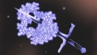 How protein-slayer drugs could beat some of the cruellest cancers