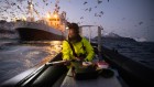 Six striking images showcase scientific fieldwork