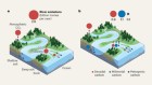 Ancient carbon released through modern rivers