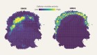Various cell types in tissues cooperate in networks that are disrupted in disease