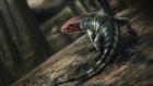 Fossil claw marks show reptiles arose much earlier than thought