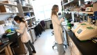 Exclusive: NIH grant rejections have more than doubled amid Trump chaos