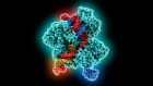 World first: ultra-powerful CRISPR treatment trialled in a person