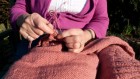 This ancient pathogen became deadlier when humans started wearing wool