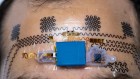Forehead ‘e-tattoo’ tracks how hard you’re thinking