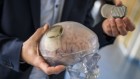 Brain-reading devices raise ethical dilemmas — researchers propose protections