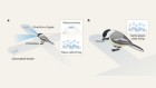 ‘Place’ neurons recognize the same spot from close by and far away