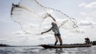 Stop ignoring small-scale fisheries in economic models