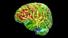 How the brain separates real images from those it imagines