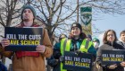 The economic effects of federal cuts to US science — in 24 graphs