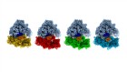 Freeze frame: cracking molecular motion