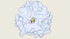 ‘Remarkable’ new enzymes built by algorithm with physics know-how