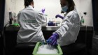 AI slashes time to produce gold-standard medical reviews — but sceptics urge caution