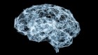This AI ‘thinks’ like a human — after training on 160 psychology studies