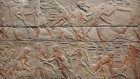 First human genome from ancient Egypt sequenced from 4,800-year-old teeth