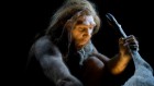 Neanderthals boiled bones in 'fat factories' to enrich their lean diet
