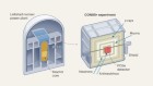 Observation of elusive interaction between neutrinos and atomic nuclei