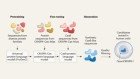 AI expands the repertoire of CRISPR-associated proteins for genome editing
