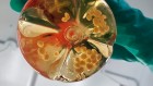 Mini hearts, lungs and livers made in lab now grow their own blood vessels