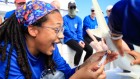 What it’s like fighting racism and sexism in shark science