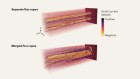 Merging of magnetic plasma ‘flux ropes’ is driven by turbulence