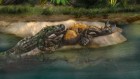 Rumble in the Miocene: terror bird versus caiman