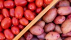Potato, tomato: the roots of the modern tater