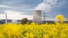 Miniature neutrino detector promises to test laws of physics