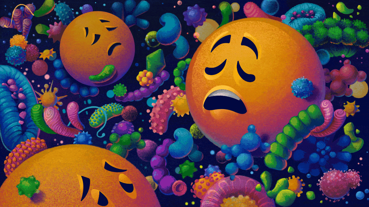 Why nurturing the gut microbiota could resolve depression and anxiety