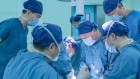 Pig lung transplanted into a person in world first