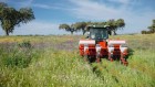 A revolution is sweeping Europe’s farms: can it save agriculture?