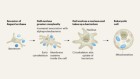 Genomic clues to the origin of eukaryotic cells