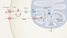 Post image 6