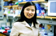 Revolutionary microscopy technique nets most lucrative prize in science